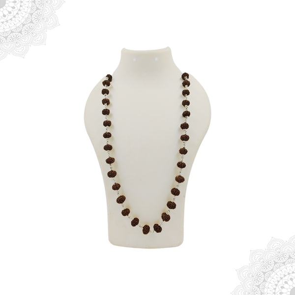 6 Face Rudraksha Silver Maala