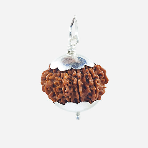 11 Face Rudraksha Bead