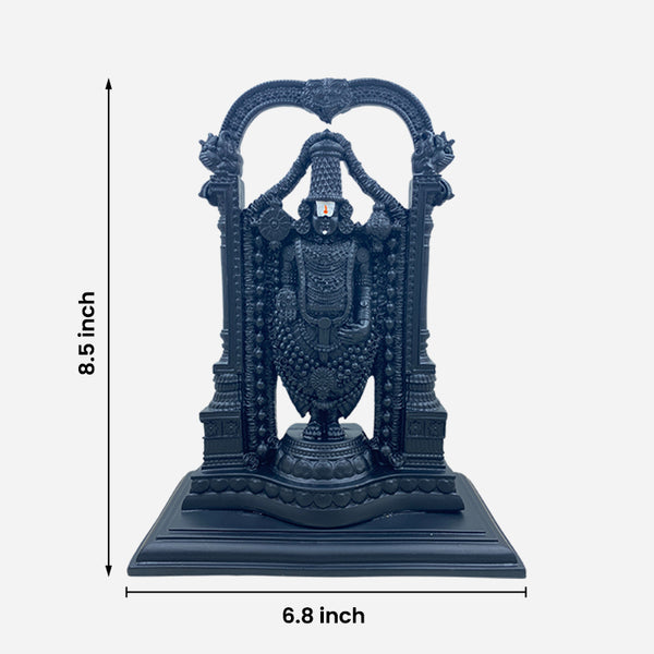 Tirumala Venkateswara Perumal Statue