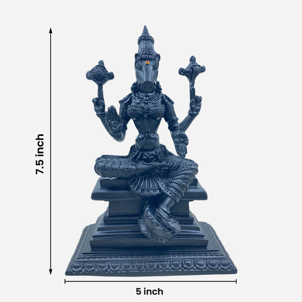 Karungali Varahi Amman Resin