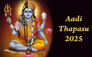 Aadi Thapasu 2025: The Divine Darshan of Shankara Narayanar at Sankaran Kovil
