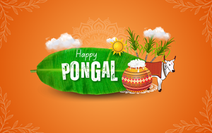 Happy Pongal 2025 wishes image and gif to share with your loved ones on Whatsapp and Facebook status