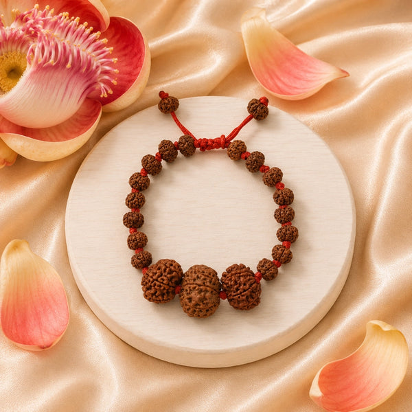 Original 7-8-5 Mukhi Rudraksha Power combination bracelet for wealth, success, and spiritual growth