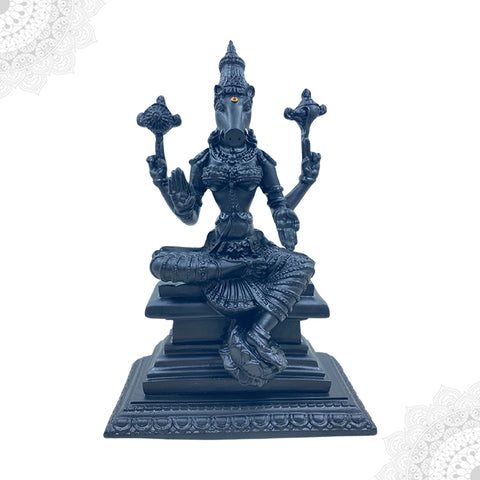 Karungali Varahi Amman Resin