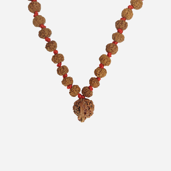 Dhan Siddhi Wealth Rudraksha Mala