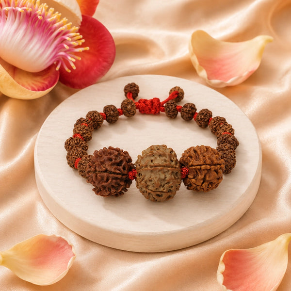 Close-up of authentic, high-quality 7 Mukhi, 8 Mukhi, and 5 Mukhi Rudraksha beads handcrafted for daily protection