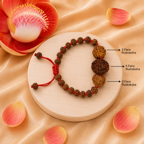 Labeled image identifying the 3 Face (Agni) and 5 Face (Shiva) Rudraksha beads on a spiritual healing bracelet.