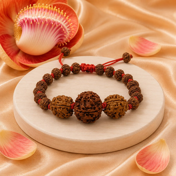 Premium spiritual bracelet with authentic 3 Mukhi and 5 Mukhi Rudraksha seeds displayed on a luxury wooden base.