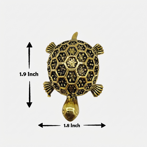 Product dimensions showing the 1.9-inch length and 1.8-inch width of the brass tortoise.
